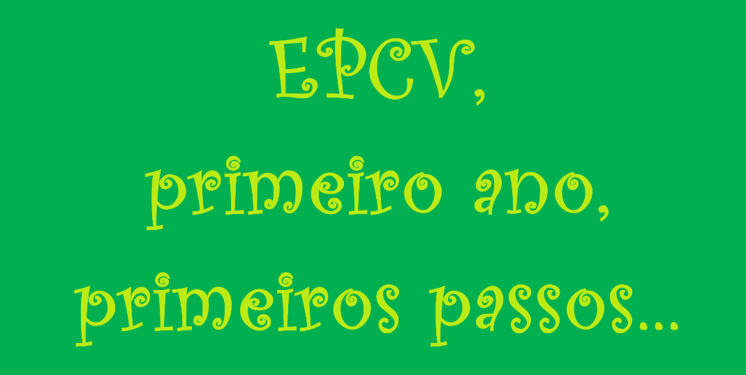 EPCV - Primeiro ano, primeiros passos...